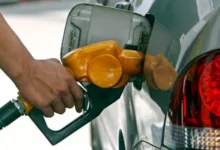 El Gobierno prepara una propuesta para extender el beneficio hasta los 80 kilómetros de los pasos fronterizos (Foto: MEF)