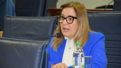 Edila del Partido Nacional Teresita Vergara.