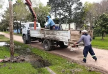 El Municipio ya colocó 135 columnas como parte del plan de ampliación del alumbrado público.
