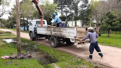 El Municipio ya colocó 135 columnas como parte del plan de ampliación del alumbrado público.